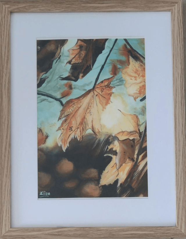 Lumières d'automne 